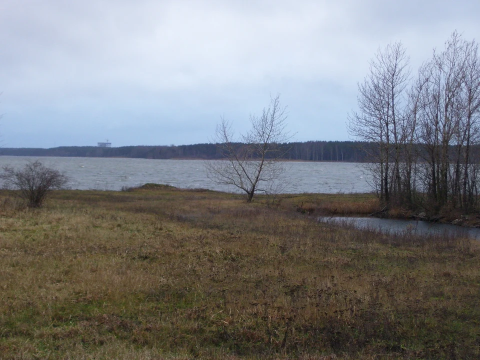 Ülemiste-See bei Tallinn: Wasser, Wiese, kahle Bäume am Ufer und Wald am gegenüberliegenden Ufer.
