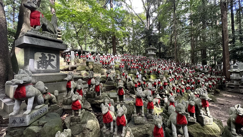 Viele graue Fuchsstatuen mit roten Lätzchen stehen auf gestaffelten Sockeln unter Bäumen; rechts führt ein Weg vorbei.