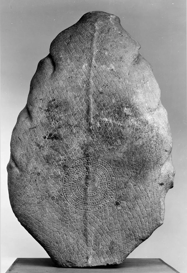 Rückansicht eines gebrochenen Buddha-Oberkörpers und einer Haube mit mehreren Schlangenköpfen vor hellem Hintergrund.