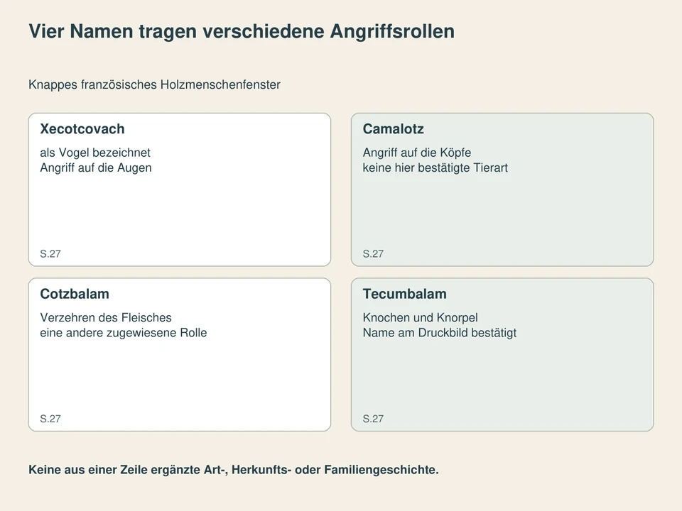 Vier Namen tragen verschiedene Angriffsrollen. Xecotcovach: als Vogel bezeichnet, Angriff auf die Augen; Camalotz: Angriff auf die Köpfe, keine hier bestätigte Tierart; Cotzbalam: Verzehren des Fleisches, eine andere zugewiesene Rolle; Tecumbalam: Knochen und Knorpel, Name am Druckbild bestätigt.