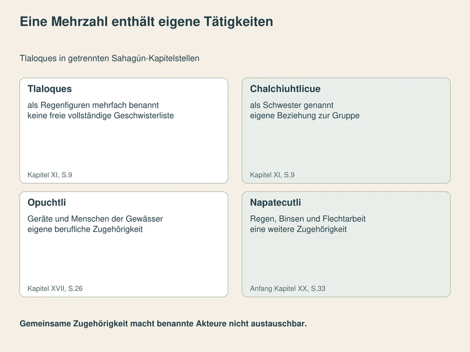 Eine Mehrzahl enthält eigene Tätigkeiten. Tlaloques: als Regenfiguren mehrfach benannt, keine freie vollständige Geschwisterliste; Chalchiuhtlicue: als Schwester genannt, eigene Beziehung zur Gruppe; Opuchtli: Geräte und Menschen der Gewässer, eigene berufliche Zugehörigkeit; Napatecutli: Regen, Binsen und Flechtarbeit, eine weitere Zugehörigkeit.