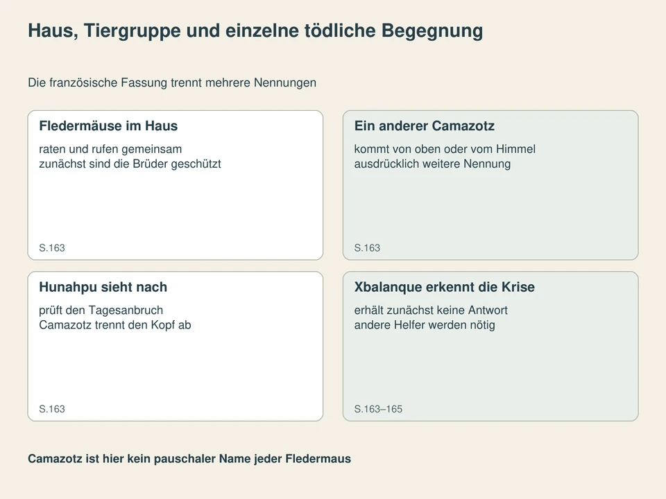 Haus, Tiergruppe und einzelne tödliche Begegnung. Fledermäuse im Haus: raten und rufen gemeinsam, zunächst sind die Brüder geschützt; Ein anderer Camazotz: kommt von oben oder vom Himmel, ausdrücklich weitere Nennung; Hunahpu sieht nach: prüft den Tagesanbruch, Camazotz trennt den Kopf ab; Xbalanque erkennt die Krise: erhält zunächst keine Antwort, andere Helfer werden nötig.