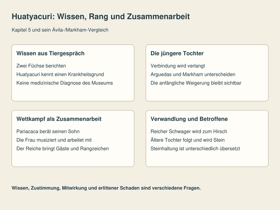 Getrennte Lesefelder: Wissen aus Tiergespräch, Die jüngere Tochter, Wettkampf als Zusammenarbeit, Verwandlung und Betroffene.