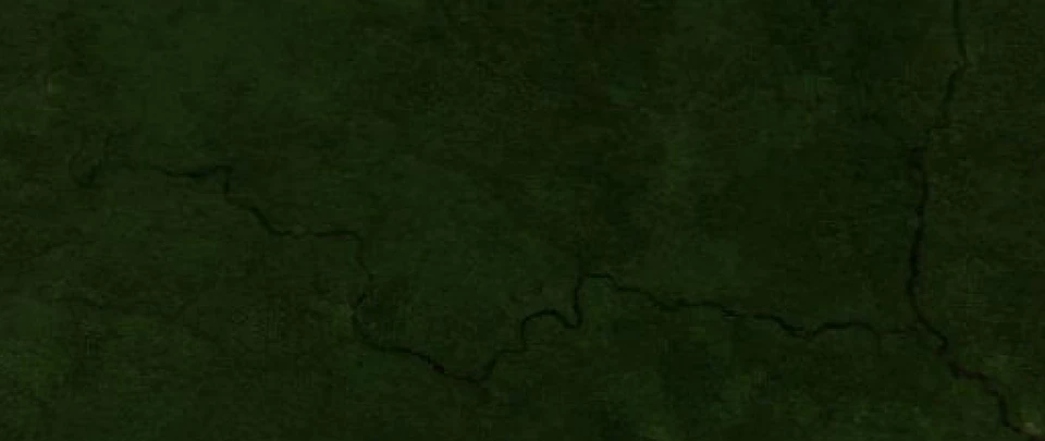 Dunkelgrüne regionale Satellitenmosaik-Ansicht mit mäandrierenden dunklen Flussbändern und einer größeren Flussachse im rechten Bildbereich.