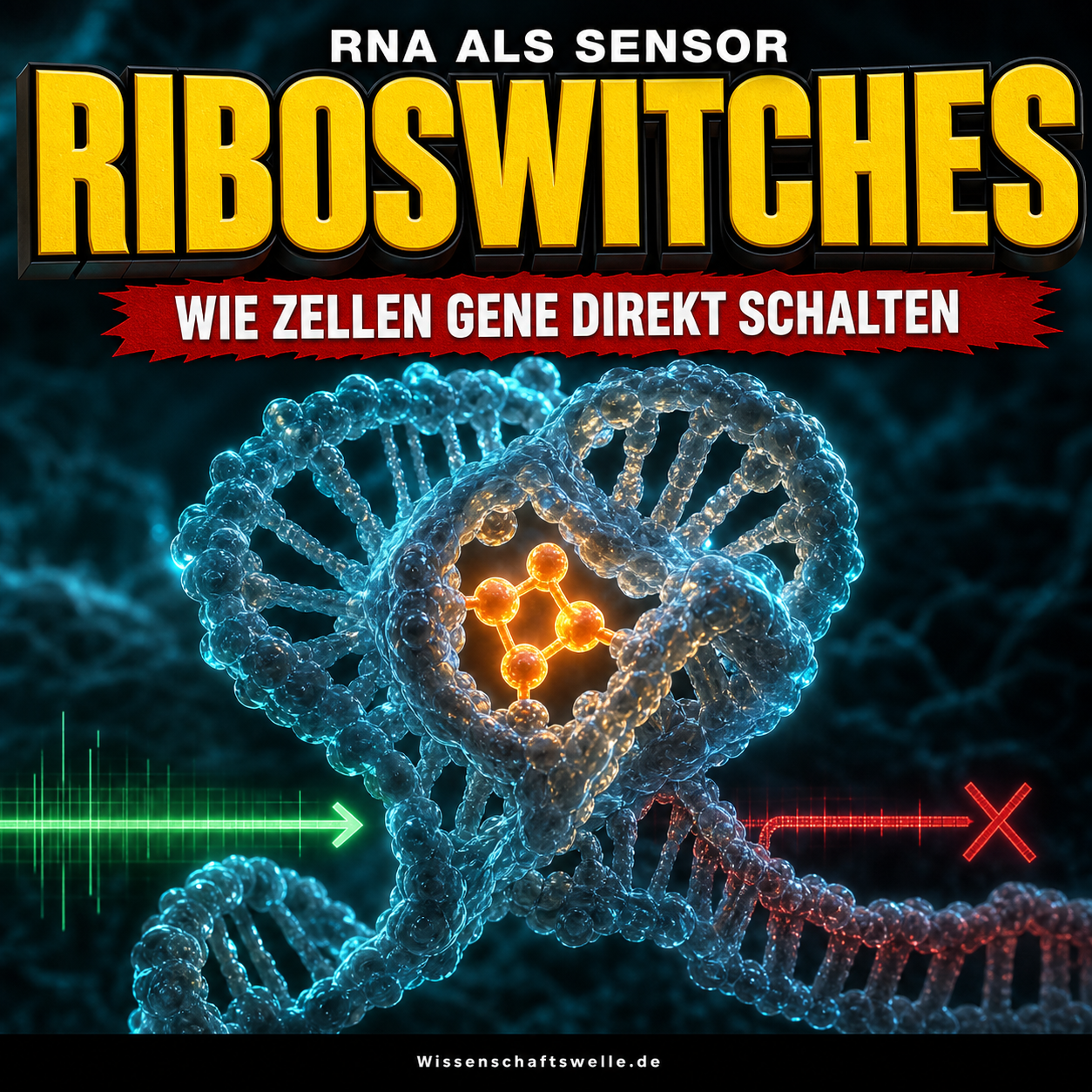 Riboswitches schalten, bevor Proteine eingreifen