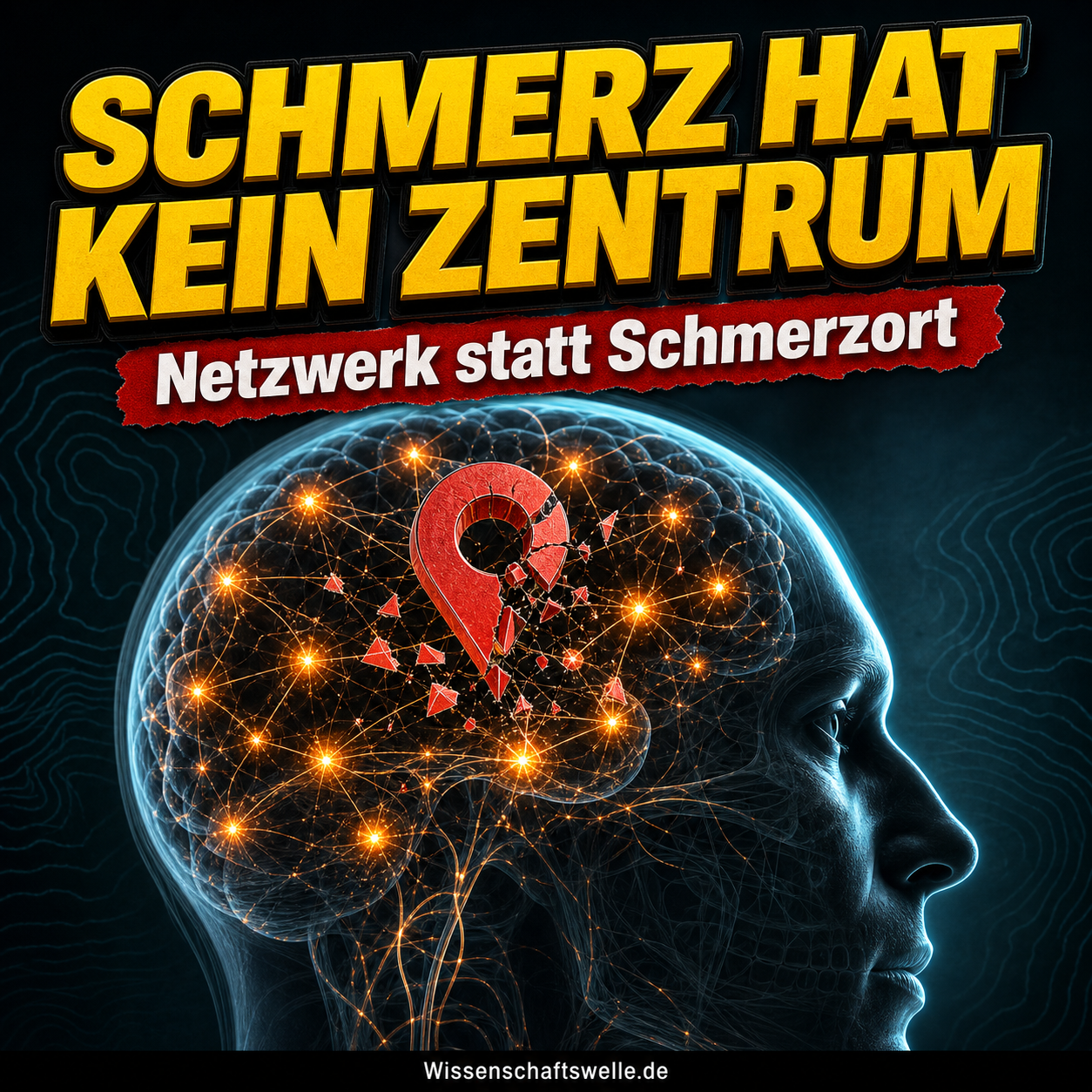 Schmerzmatrix ohne Zentrum: Warum Schmerz keinen festen Sitz im Gehirn hat