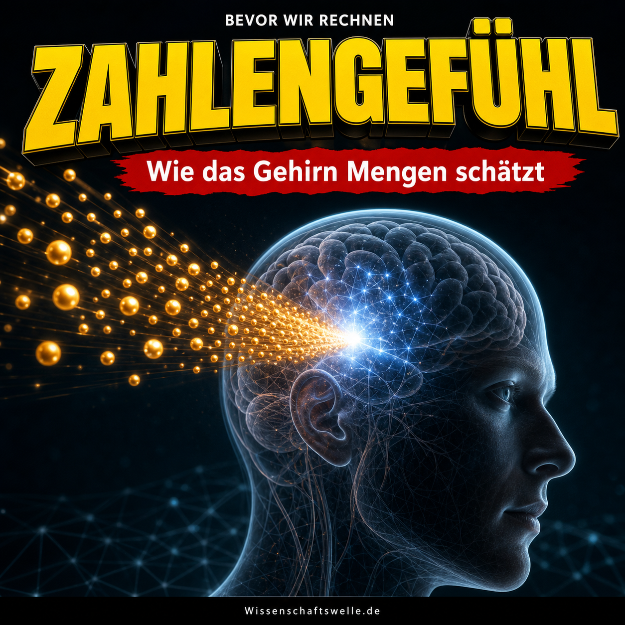 Das Gehirn zählt nicht. Es schätzt: Warum Zahlengefühl noch keine Mathematik ist